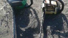 Полиция обнаружила незаконную вырубку леса (фото)