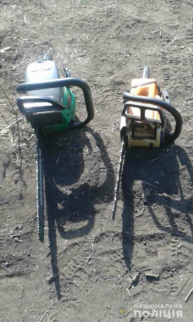 Полиция обнаружила незаконную вырубку леса (фото)