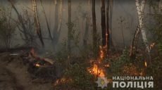 Чернобыльскую зону подожгла женщина с целью мести — полиция