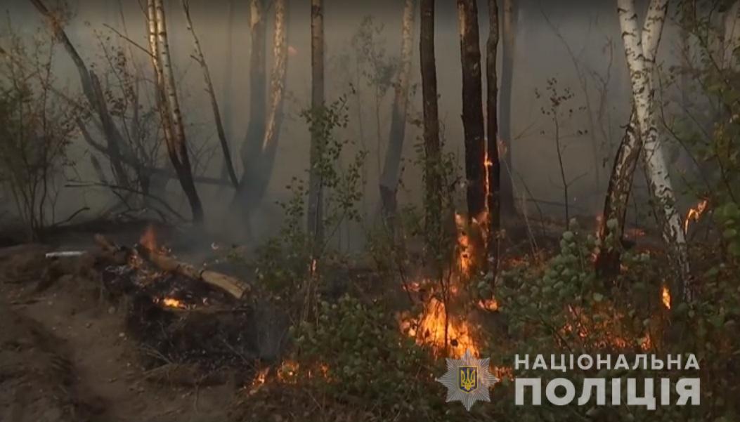 Чернобыльскую зону подожгла женщина с целью мести — полиция