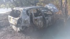На Харьковщине сгорел Chevrolet Aveo (фото)