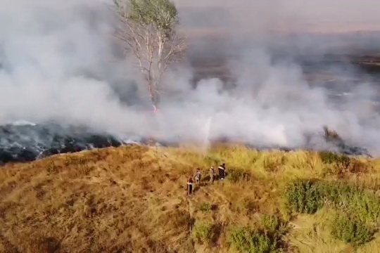 Появилось видео масштабного пожара на Харьковщине