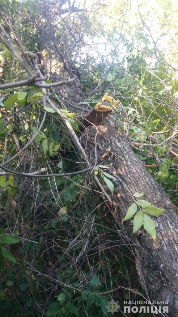 Житель Харьковщины погиб при распилке деревьев (фото)