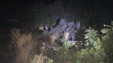 На Харьковщине Mitsubishi Pajero слетел в кювет. Погибла женщина (фото)