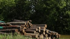 В ХОГА прошло совещание силовиков по предотвращению вырубки леса
