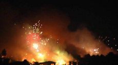 В Индии взорвался завод: погибло 14 человек