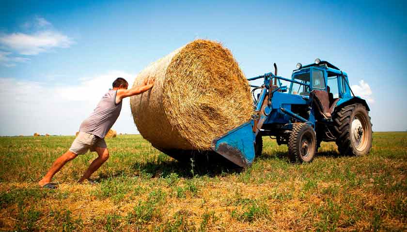 Фермерам обещают дешевые кредиты под закупку земли