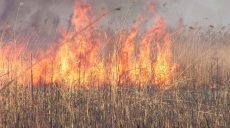 ГСЧС Украины потушила 25 га пожаров в Харьковской области