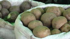 Ціни на картоплю зросли вдвічі у порівнянні з минулим роком (відео)