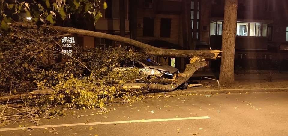 Непогода в Харькове: в центре города дерево упало на автомобиль (фото)
