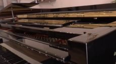 Музичні інструменти всесвітнього зразка отримала одна з харківських шкіл (відео)