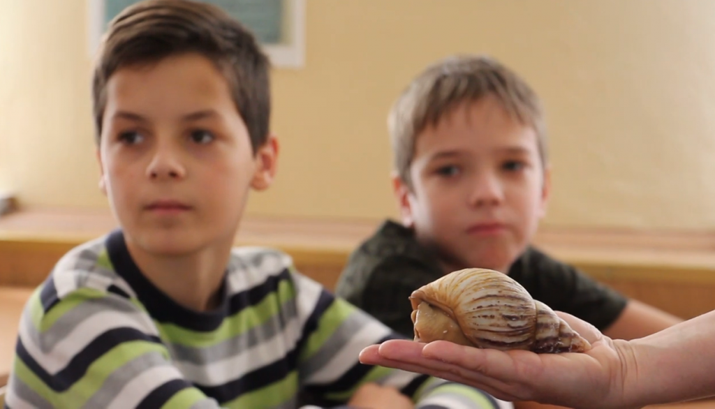 Харківський зоопарк підготував для школярів незвичайний урок з равликами за партами (відео)