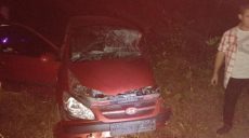 Авария на Харьковщине: водитель погиб на месте (фото)