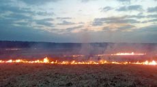 Украинцев предупреждают о чрезвычайной пожарной опасности