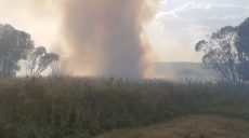 Потушили 33 пожара за день (фото)