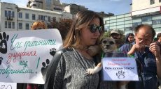 Марш зоозахисників у Харкові: люди вийшли «рятувати» тварин (відео)