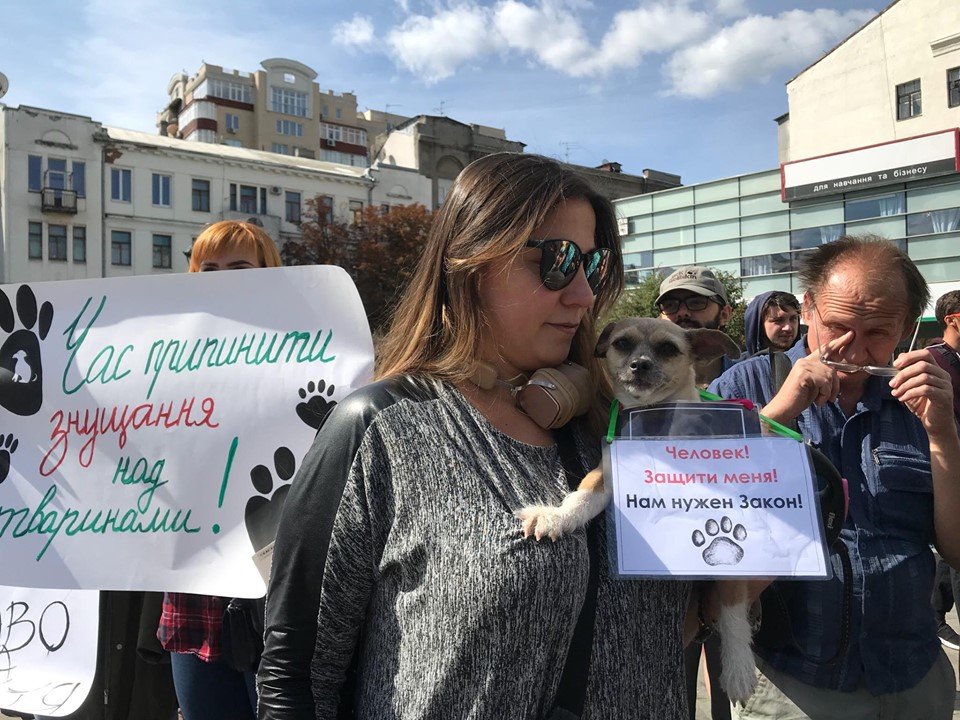 Марш зоозахисників у Харкові: люди вийшли «рятувати» тварин (відео)