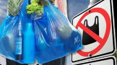 Кабмин поддержал закон о запрете использования пластиковых пакетов