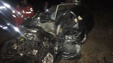 Под Харьковом водитель грузовика выехал на «встречку». Погибли двое (фото)