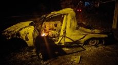 Три часа пожарные боролись с огнем, чтобы спасти два дома и автомобиль (фото)