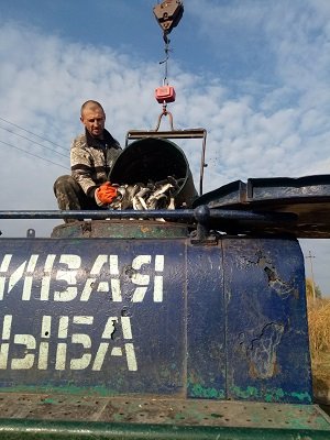 Харьковские водоемы зарыбляют