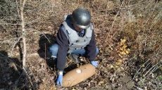 Спасатели обезвредили 50-килограммовый фугас