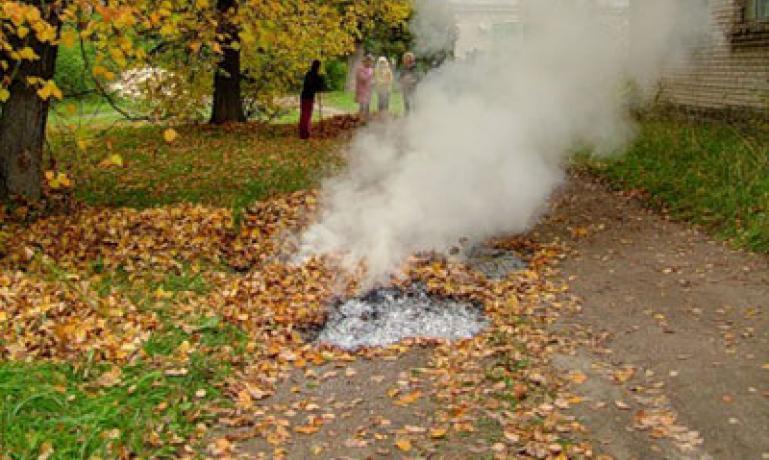 Містяни масово скаржаться на спалювання пожухлого листя (відео)