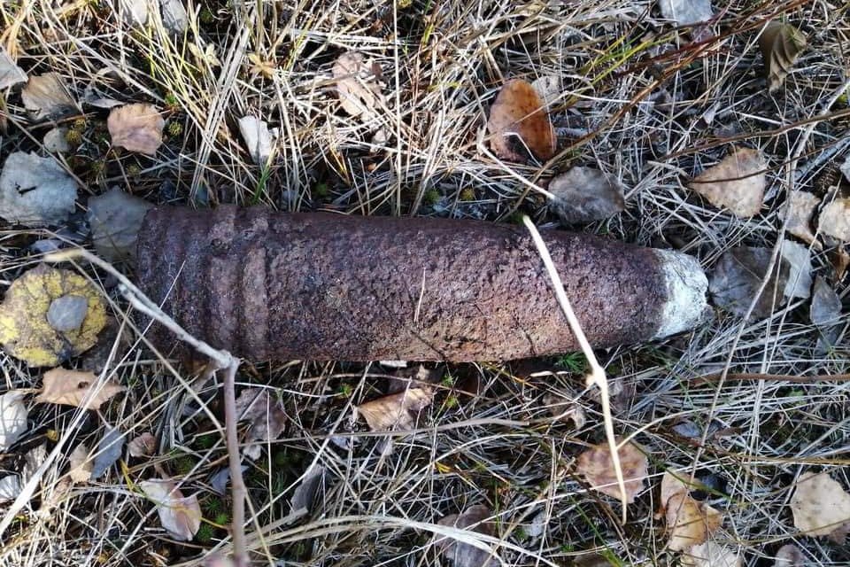 Возле кладбища нашли снаряды (фото)