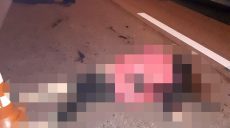 На Новой Баварии насмерть сбили женщину-пешехода (фото)