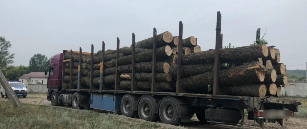 Директор Гутянского лесхоза задержан при попытке дать взятку НАБУ — Алексей Кучер