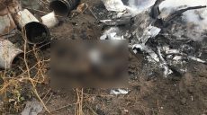 Экс-министр Тарас Кутовой погиб при падении вертолета (подробности)