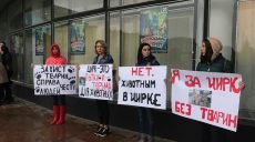 Минкульт прекращает покупать животных для цирков