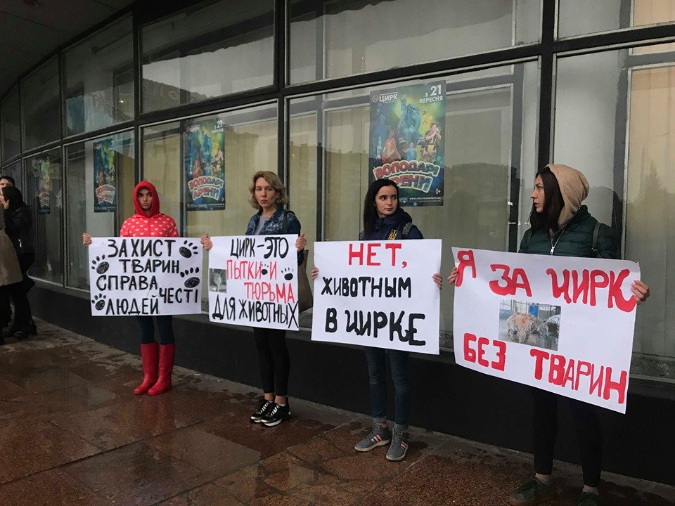 Минкульт прекращает покупать животных для цирков