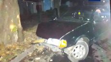 В Харькове пьяный водитель врезался в дерево (фото)
