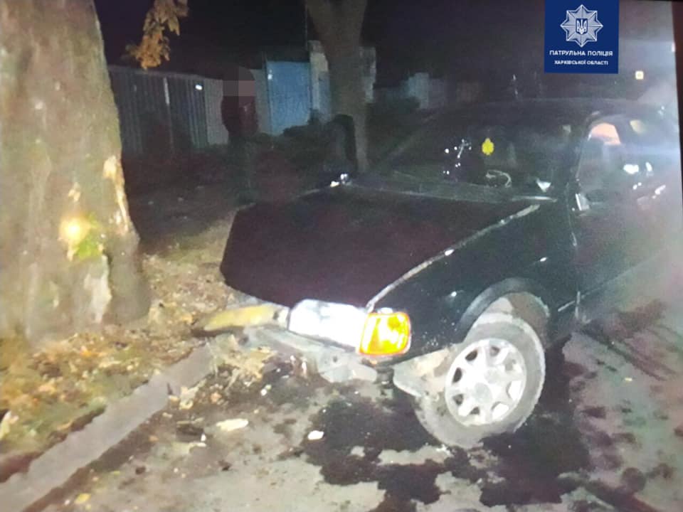 В Харькове пьяный водитель врезался в дерево (фото)