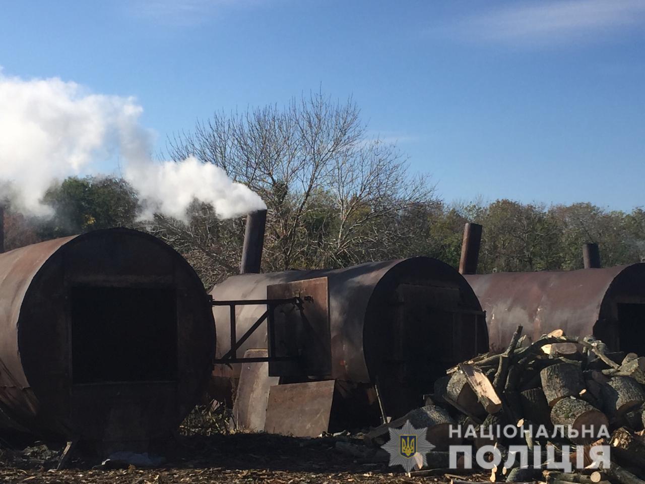 На Харьковщине приостановлено незаконное производство древесного угля (фото)