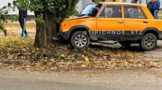 Машина влетела в дерево на ХТЗ (фото)