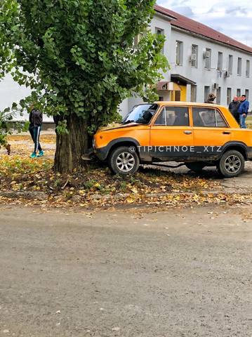 Машина влетела в дерево на ХТЗ (фото)