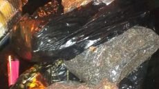 Патрульные нашли в рюкзаке молодого парня 3 кг макового семени (фото)