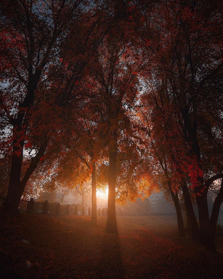 Аномально теплая осень в Харькове — фоторепортаж от харьковчан