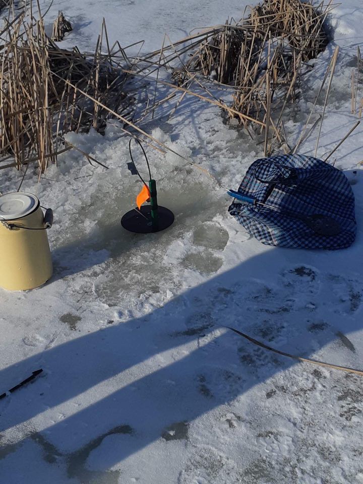 Зимовальные ямы: вводится запрет на вылов рыбы в местах зимовки