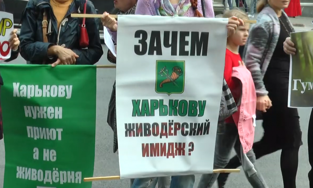 «Ні жорстокості в Харкові»: під таким гаслом зоозахисники провели пікет під міськрадою (відео)