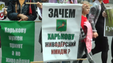 «Ні жорстокості в Харкові»: під таким гаслом зоозахисники провели пікет під міськрадою (відео)