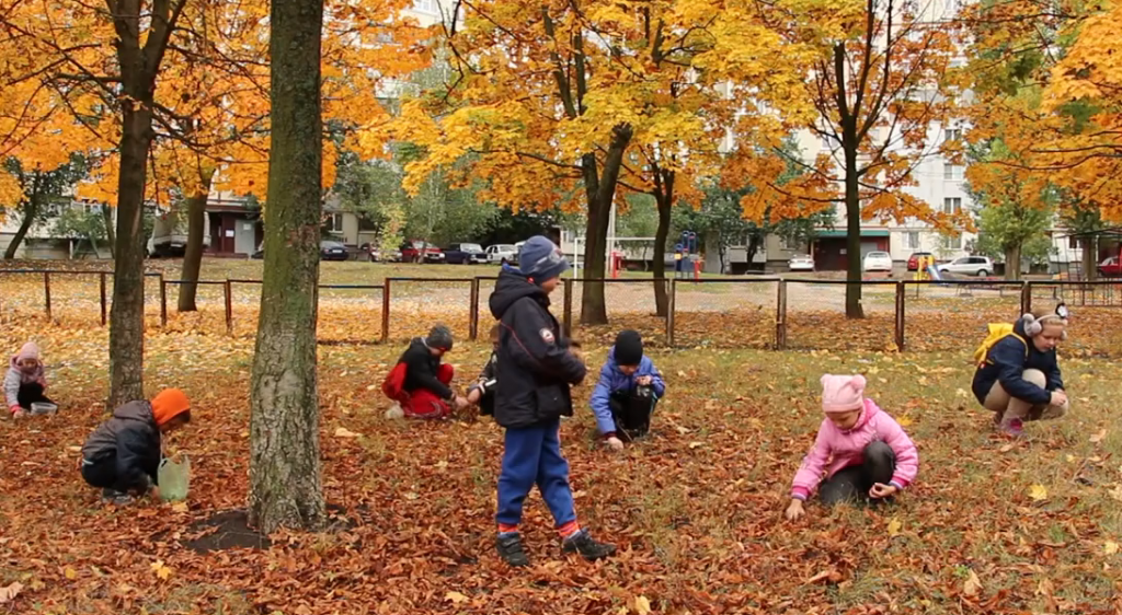 Діти з багатодітних сімей назбирали ласощів для ведмедів та гризунів (відео)