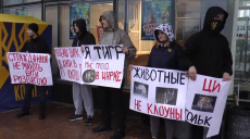 «Тварини не клоуни»: у Харкові відбувся пікет проти катування звірів у цирках (відео)