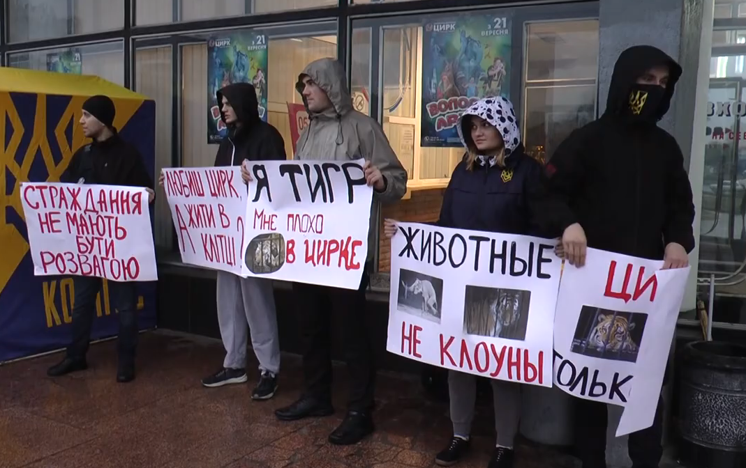 «Тварини не клоуни»: у Харкові відбувся пікет проти катування звірів у цирках (відео)