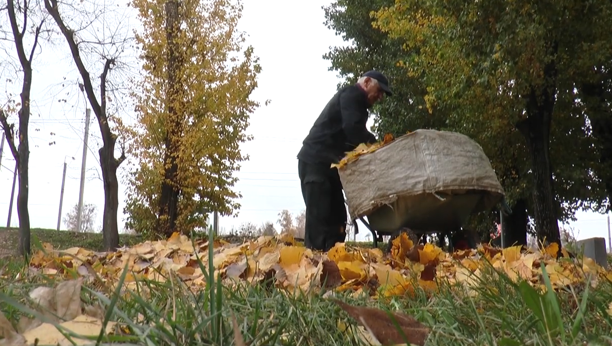 Місцеві мешканці допомагають відновити парк «Юність» (відео)