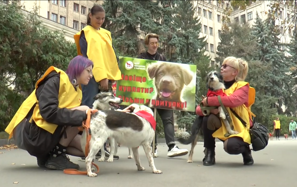 Захід «Година доброти» до Всесвітнього дня захисту тварин пройшов у Харкові (відео)