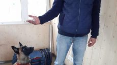 Полицейский пес обнаружил наркотики