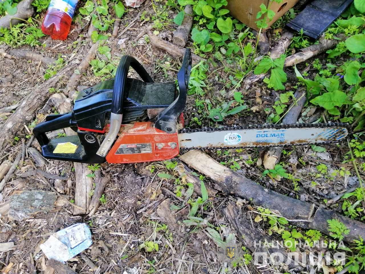 Задержан грузовик с незаконно спиленной древесиной